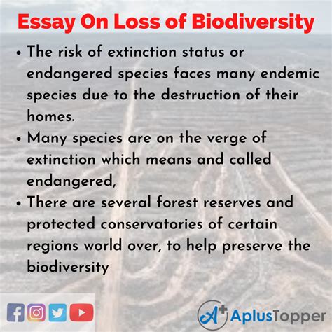 essay  loss  biodiversity loss  biodiversity essay  students