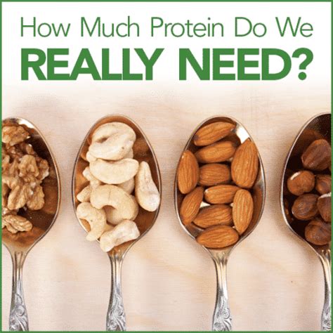 How Much Protein Do We Really Need