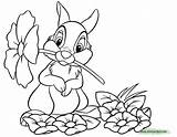 Thumper Coloring Bambi Pages Flower Mouth Disneyclips Printable Funstuff sketch template