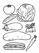 Verduras Origen Vegetal Constructores Vegetales Saludable Hortalizas Saludables Alimento Fruits Frutas Trompo Coloreal Padres Nutritivos Aliments Agua Cole Logopeda sketch template