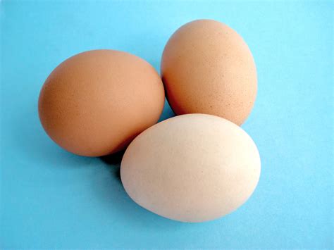 egg facts unscrambled sigonas farmers market