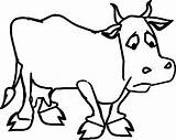 Cow Coloring Pages Cartoon Dairy Color Printable Sad Drawing Getcolorings Farm Getdrawings Farmer sketch template