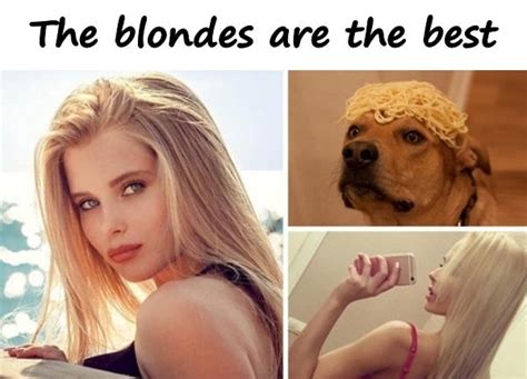 the blondes are the best 3584