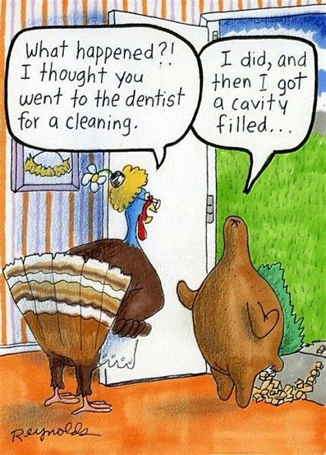 30 funny turkey jokes in pictures i am bored