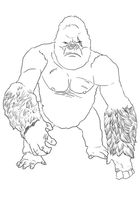 gorilla coloring pages books    printable