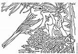 Nest Coloring Bird Pages Vogel Kleurplaat Met sketch template