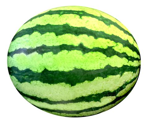 watermelon drawing images