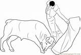 Coloring Bullfight Coloringpages101 Sketch Cultures sketch template