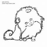 Pomeranian Coloring Pages Puppy Color Dog Drawing Line Printable Book Sheets Kids Getcolorings Index Getdrawings Template Own sketch template