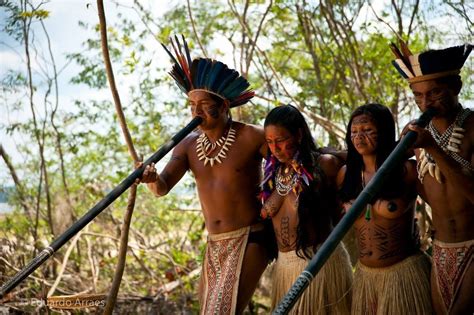 principales trubus indigenas que aun sobreviven en colombia ole colombia