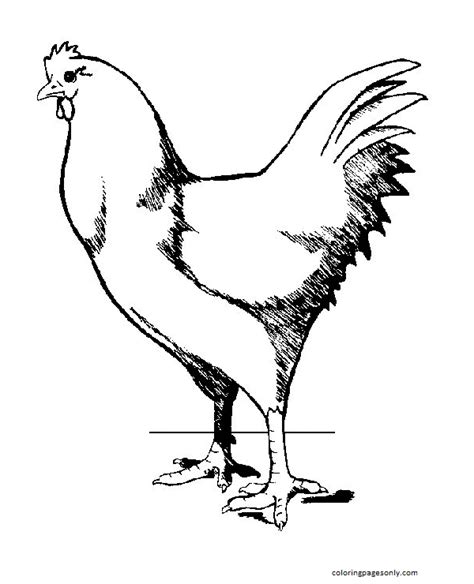 funny chicken coloring page  printable coloring pages