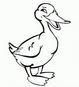 Coloring Pages Duck Colouring Mother Related sketch template