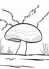 Colorare Fungo Funghi Bosco Disegnidacolorareonline Pianetabambini Disegno sketch template