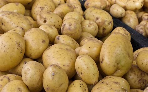potatoes   cut cancer risk telegraph