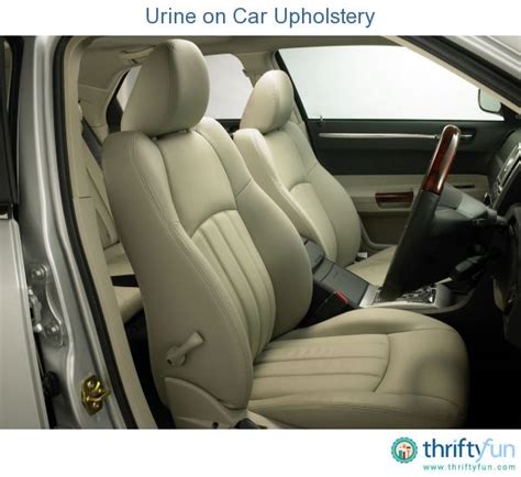 Cleaning Urine On Car Upholstery Cleaning Car Upholstery