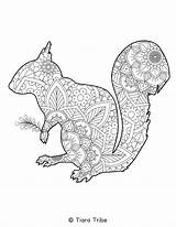 Mandala Coloring Animal Squirrel Pages sketch template