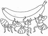 Ant Coloring Pages Cliparts Insect Printable Favorites Add sketch template