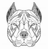 Pitbull Zentangle Tatuagem Tatoo Pitty 123rf Gemerkt sketch template