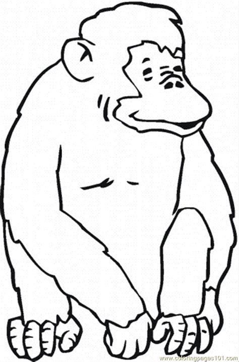 orangutan coloring page coloring home