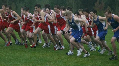 falcon cross country finishes    top  south whidbey record