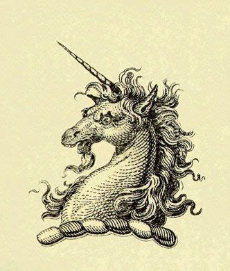 scary unicorn pinterest unicorns  unicorn illustration unicorn