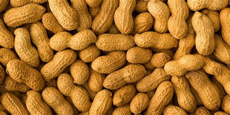 top  reasons  steer clear  peanuts  peanut butter sapiens