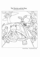 Tortoise Hare Turtle Colouring sketch template