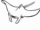 Manta Ray Coloring Pages Drawing Outline Clipart Printable Kids Getcolorings Clipartmag Getdrawings Color sketch template