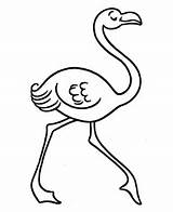 Ausmalbilder Imprimir Flamingos Flamencos Colorir Kleurplaat Caminhando Malen Ausmalbild Dibujar Kleurplaten Printen Tudodesenhos Schablonen Divertidos Bunte Silke Honkingdonkey sketch template