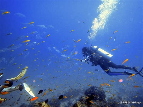 scuba diving in havelock andaman islands my advanced