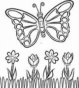 Kupu Mewarnai Butterfly Untuk Getcolorings Getdrawings Paintingvalley Print sketch template