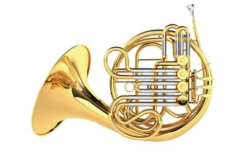 types  french horn  complete guide