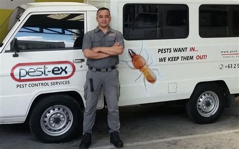 pest  gold coast pest control termite treatment services pest   primarily operate