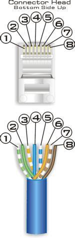 helpful cat   cat  wiring diagram parts    wwwhomecontrolscomwire