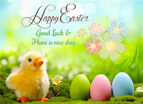 happy easter  images gifs  easter greeting cards