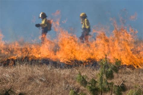 fire protection association australia  hold  bushfire attack level short courses wa bal