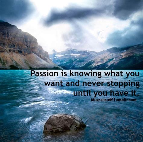 Passion Is Knowing What You Want And Never Stopping Until You Have It