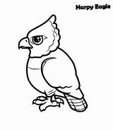 Eagle Coloring Harpy Pages Baby Kids sketch template