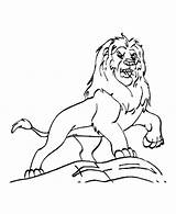 Lion Mufasa Coloring King Pages Color Drawing Getcolorings Luna Colorluna Getdrawings Drawings Choose Board sketch template