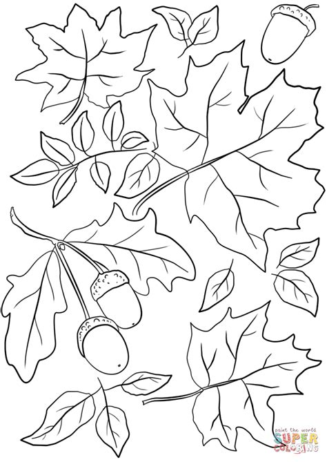 autumn leaves  acorns coloring page  printable coloring pages