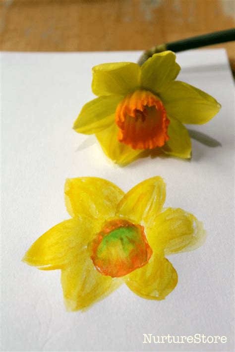 daffodil dissection parts   flower lesson nurturestore daffodil craft daffodil flower