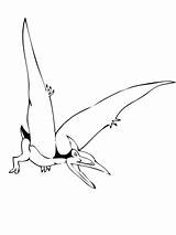 Pteranodon Coloring Pterodactyl Pages Drawing Dinosaur Printable Flying Getdrawings Supercoloring Drawings Clipart sketch template
