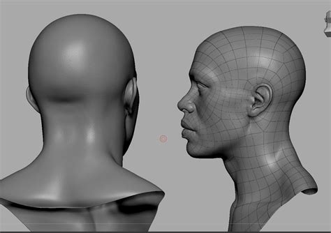 realistic black male head anatomy  model cgtrader