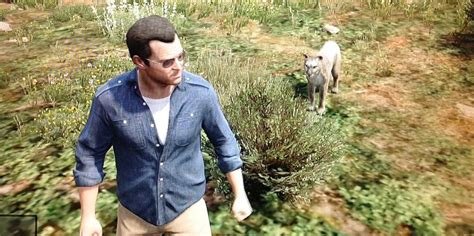 Gta V Craziest Things People Have Done While Playing Business Insider