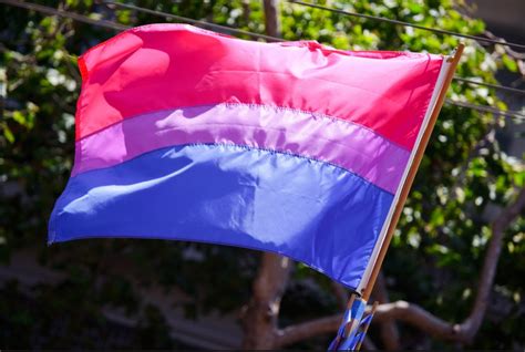Bandera Bisexual Significado