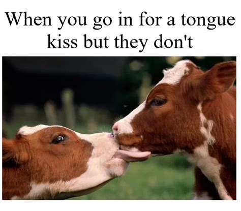 tongue memes memedroid