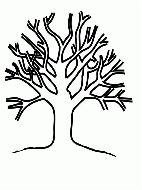 tree   leaves coloring page coloring home
