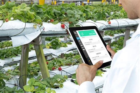 digitalisasi pertanian  implementasi aplikasi agree pt telkom digitalbisa