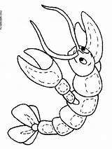 Pages Crayfish Coloring Printable sketch template