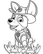 paw patrol coloring pages coloring pages  kids  adults